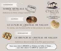 Chateau de Salles