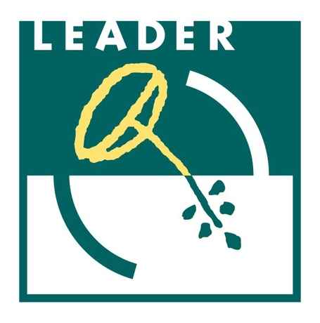 Logo_LEADER_Quadri (00000002)