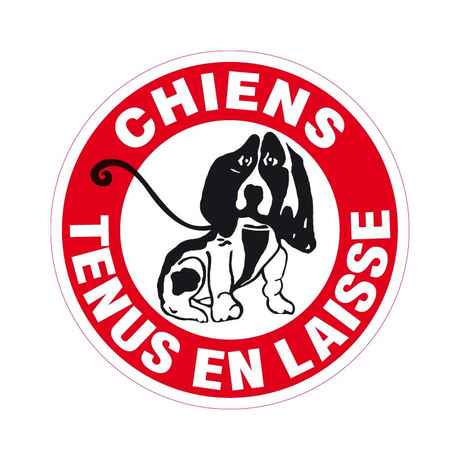 chiens-tenus-en-laisse