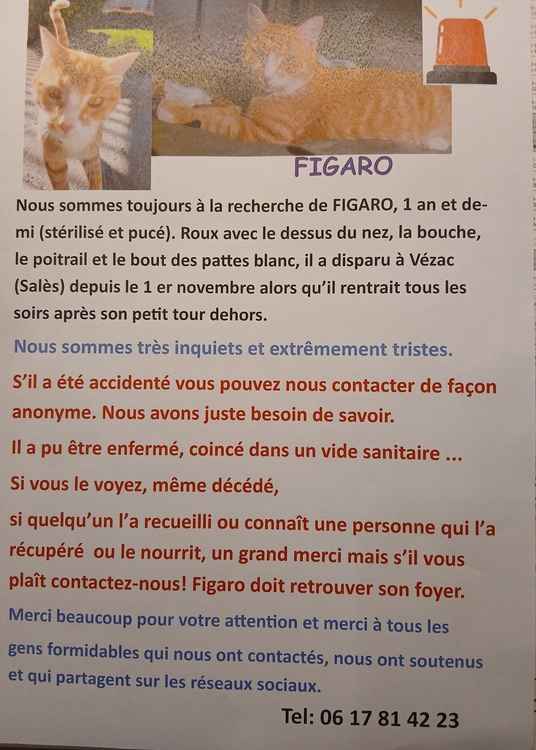 FIGARO