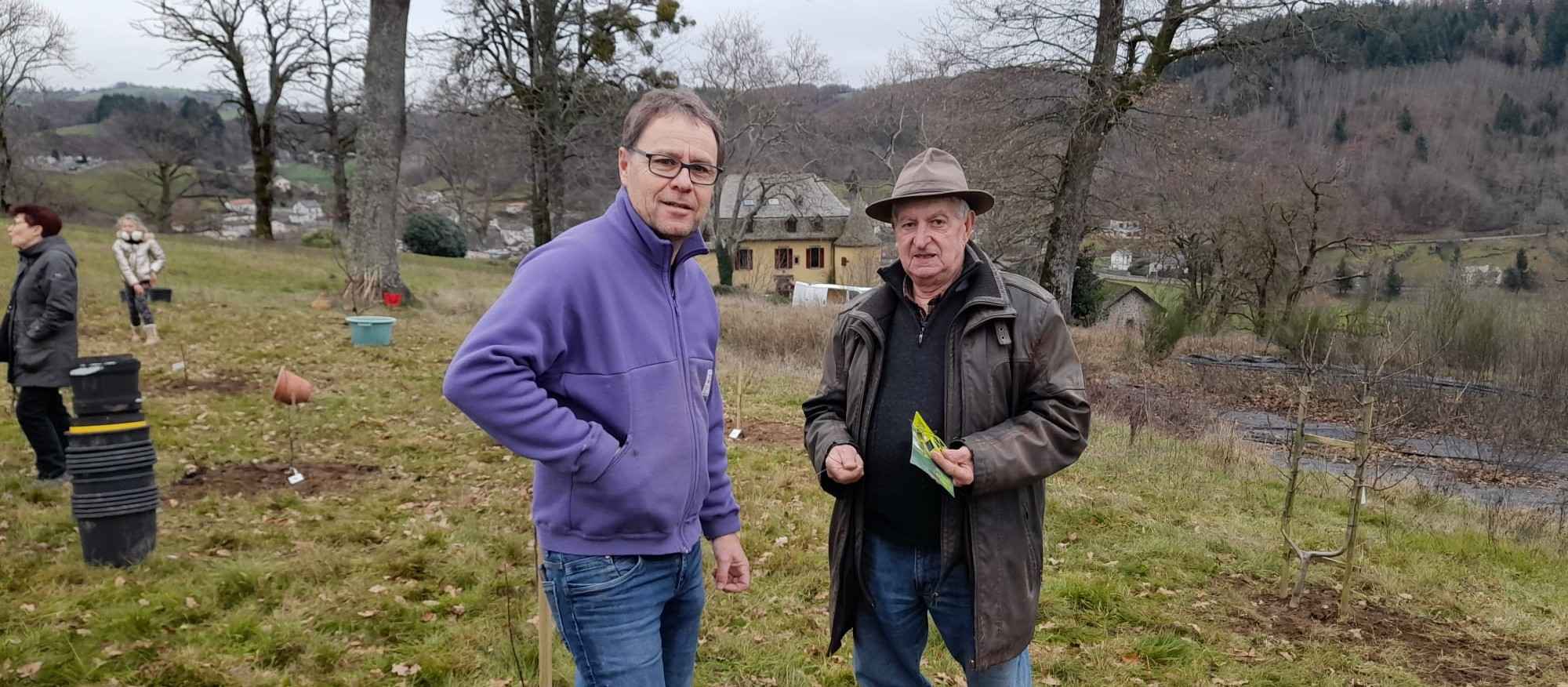 Plantation d'arbres fruitiers modifiée