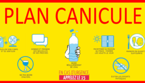 Canicule-et-fortes-chaleurs-les-bons-reflexes